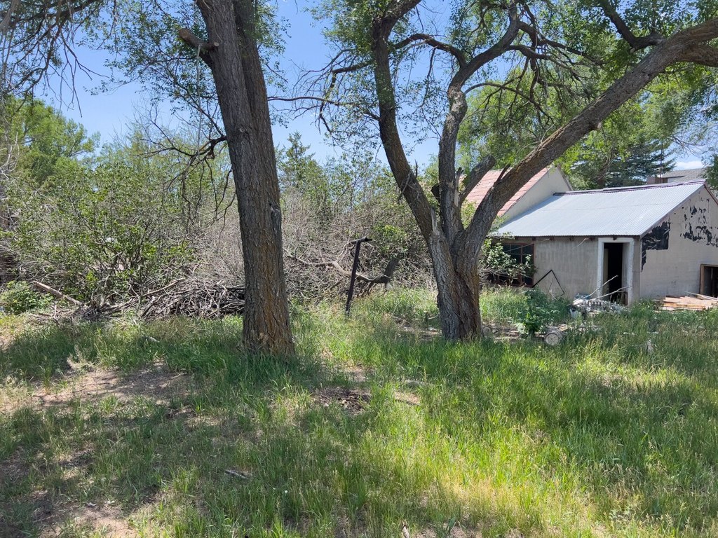 Picture 11