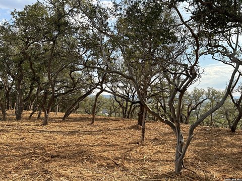 Land, Bulverde, TX