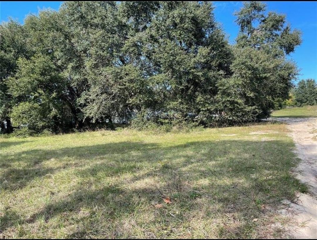 Picture 2