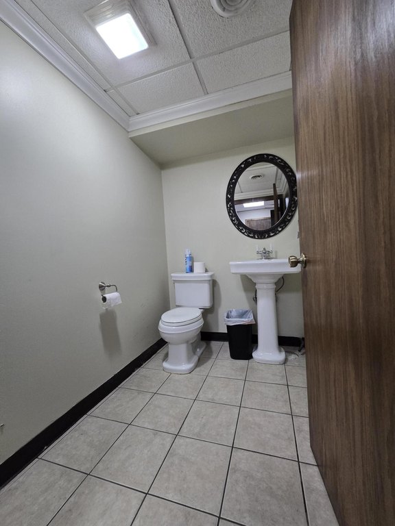 Picture 17