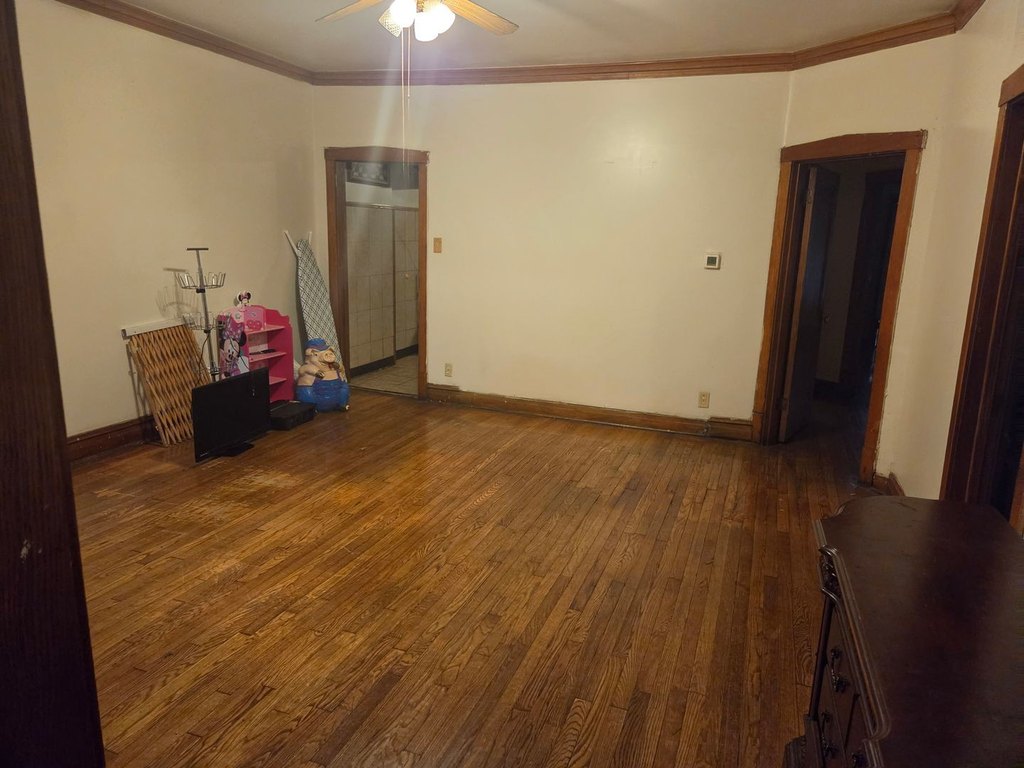 Picture 5