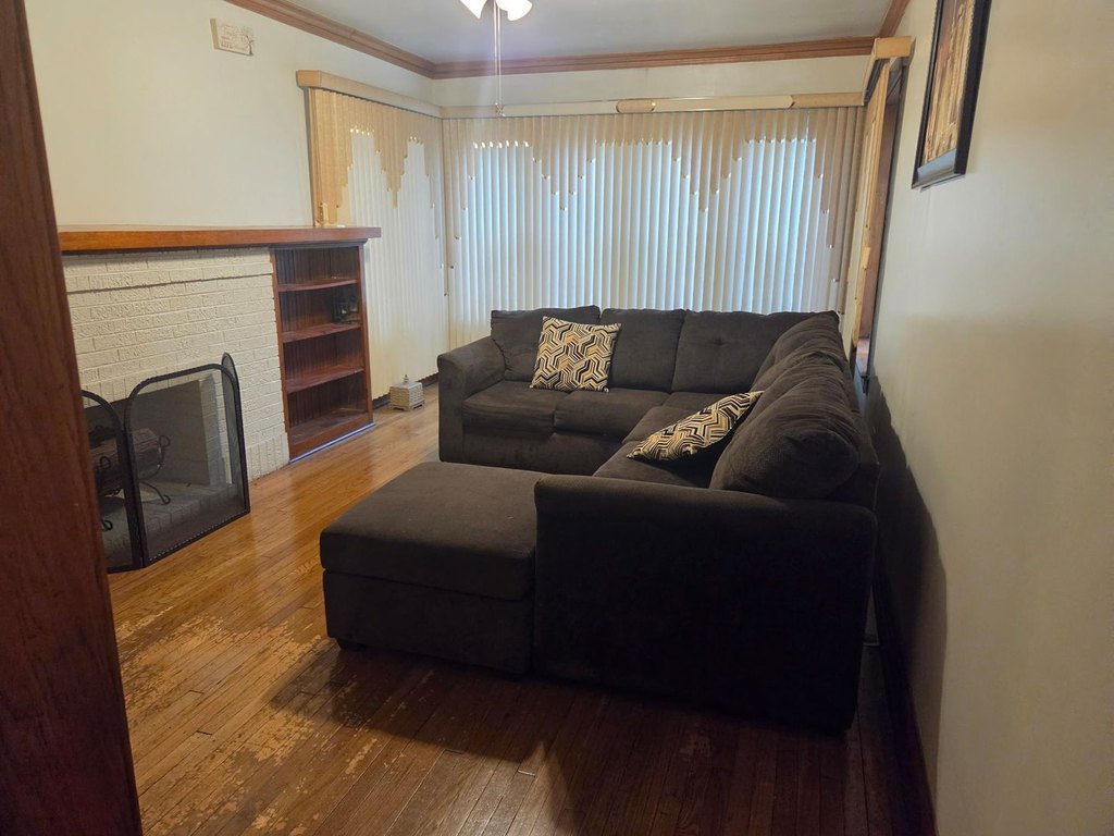 Picture 8
