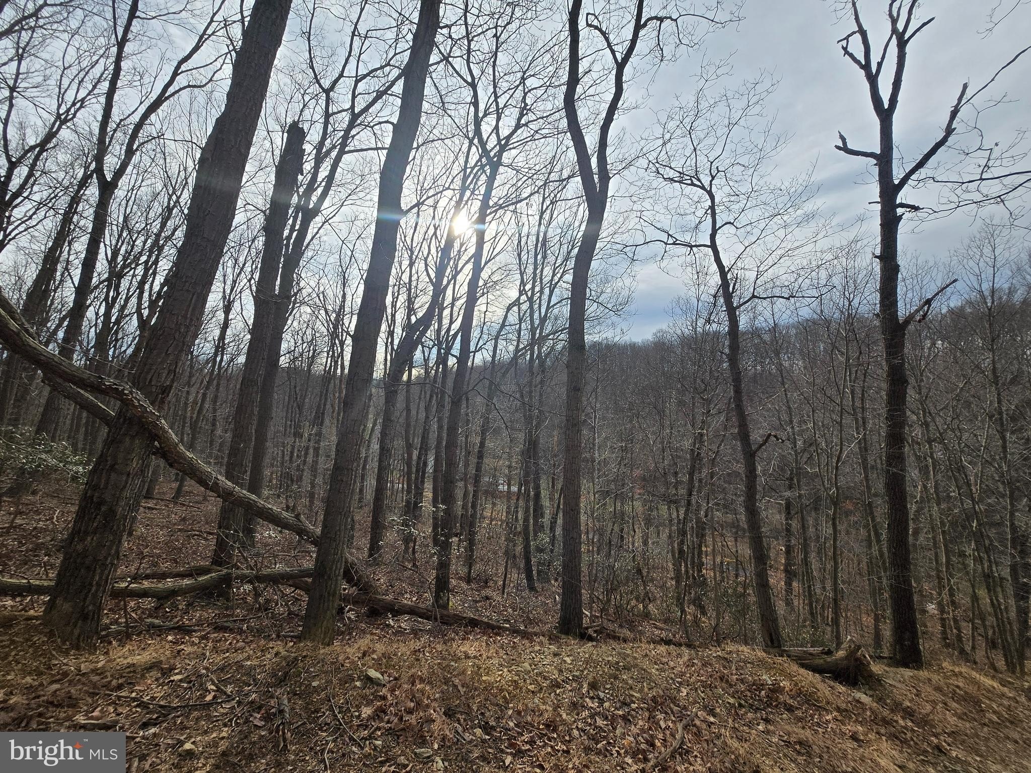 Land with Panoramic Views