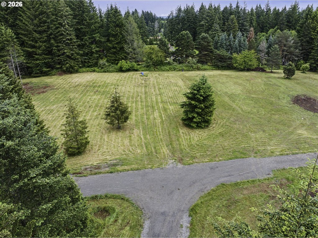 Picture 6