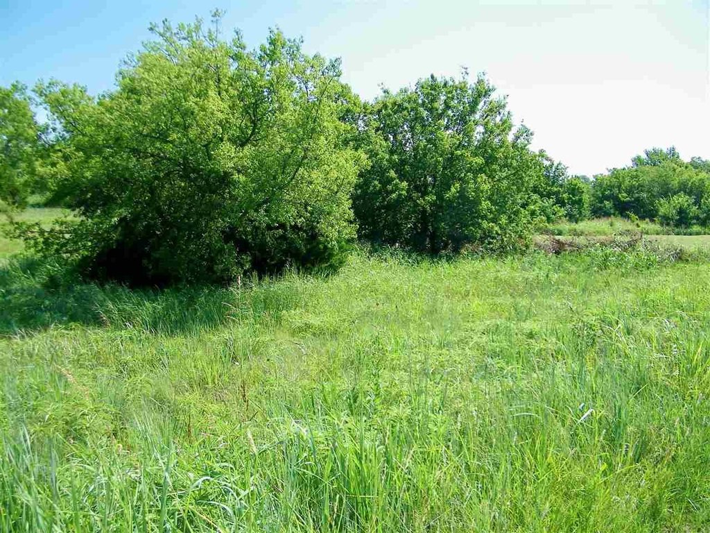 Picture 7