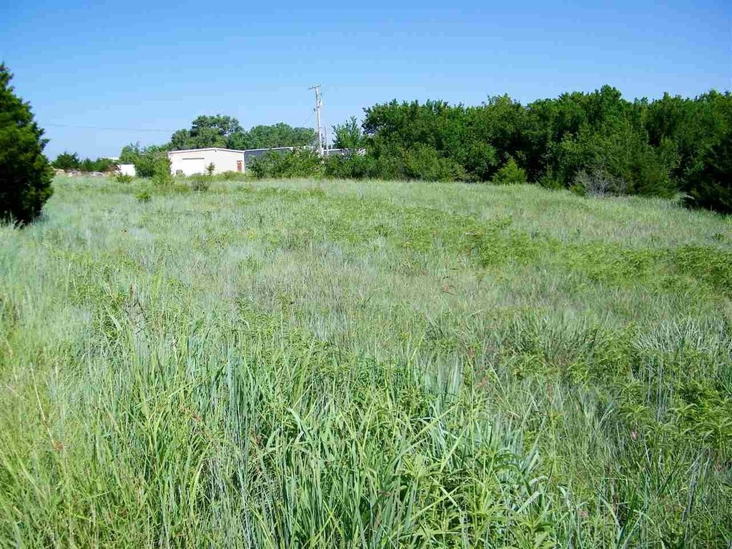 Picture 9
