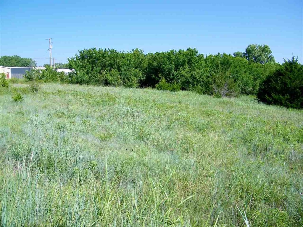 Picture 6