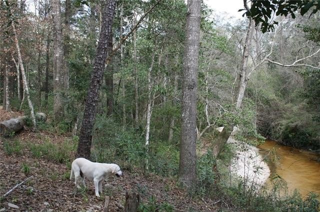 Picture 26
