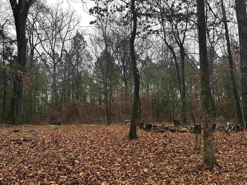 Picture 21