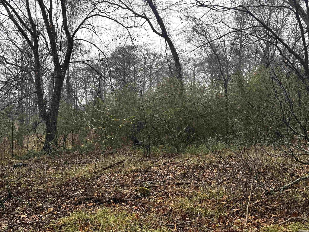 Picture 24
