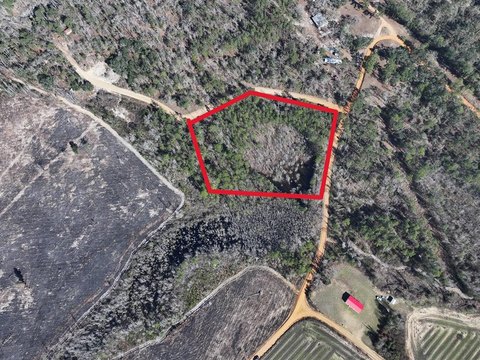 Secluded Wooded Land with Pond