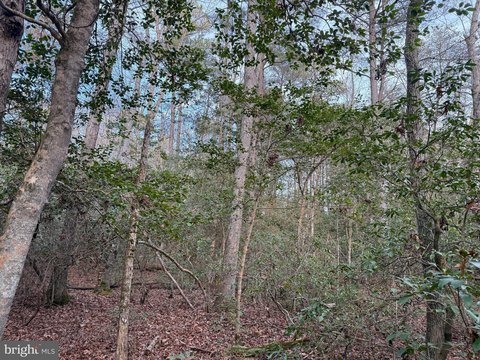LAND - VALLEY LEE, MD