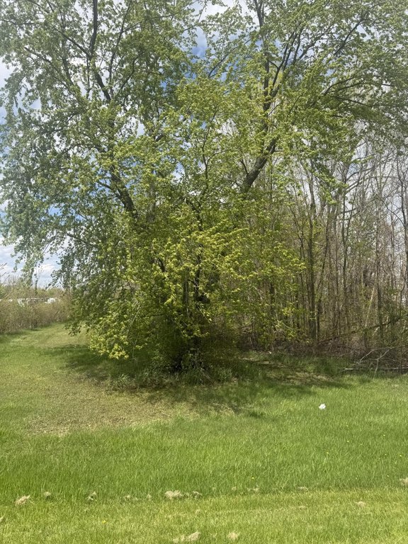 Picture 5