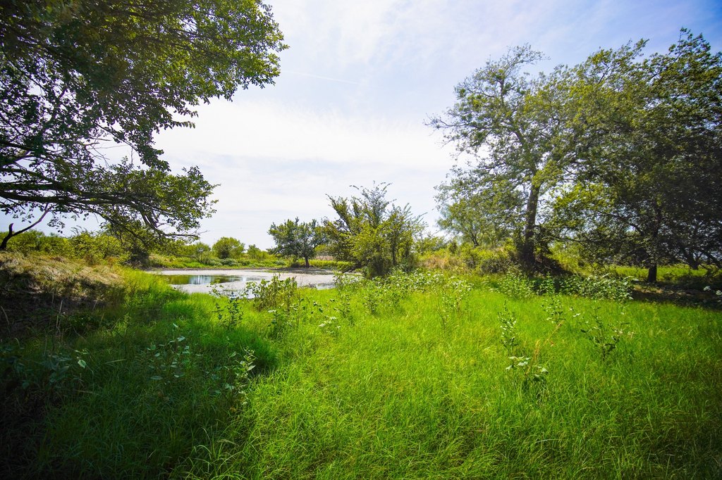 Picture 24