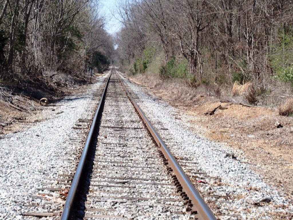 Picture 9