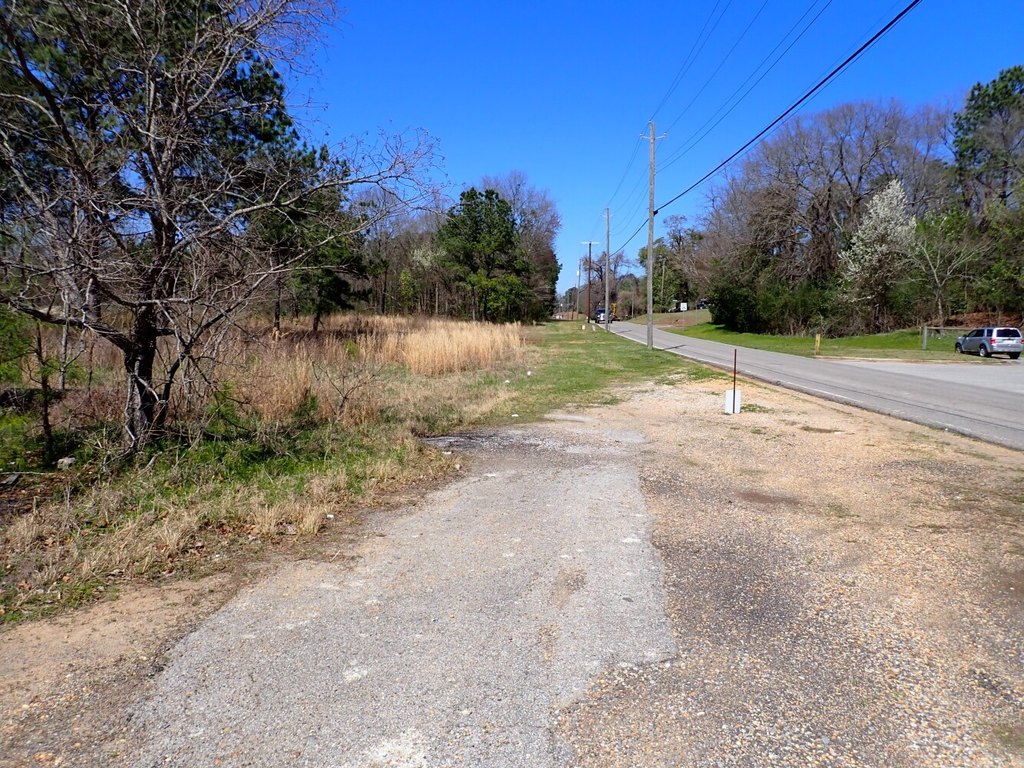 Picture 5