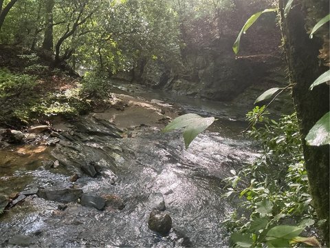LAND - Dawsonville, GA