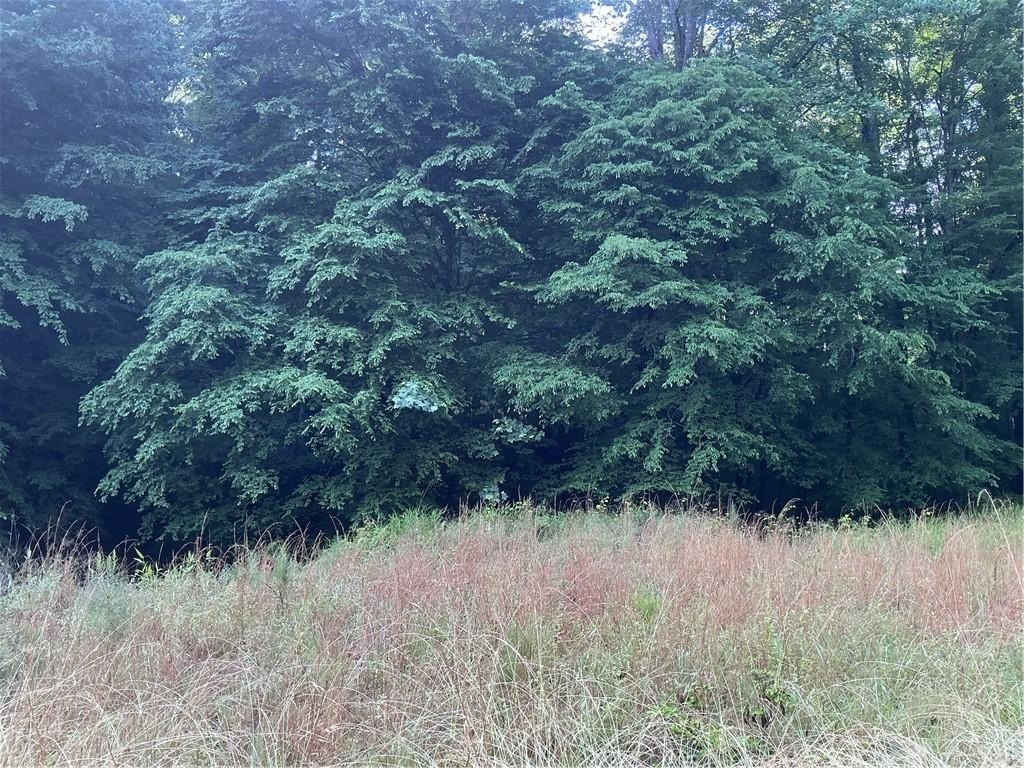 Picture 24