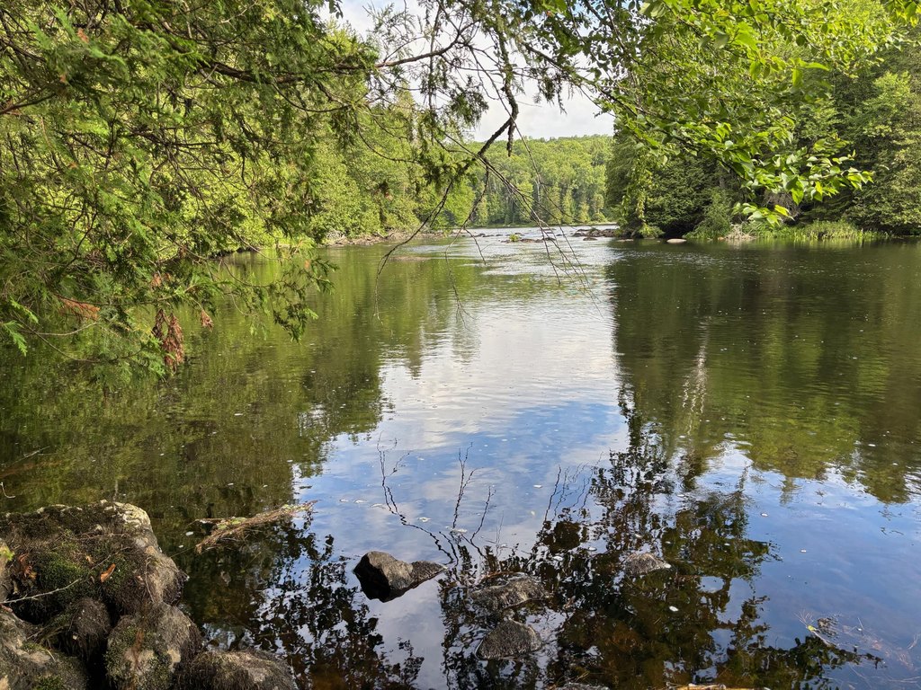 Picture 5