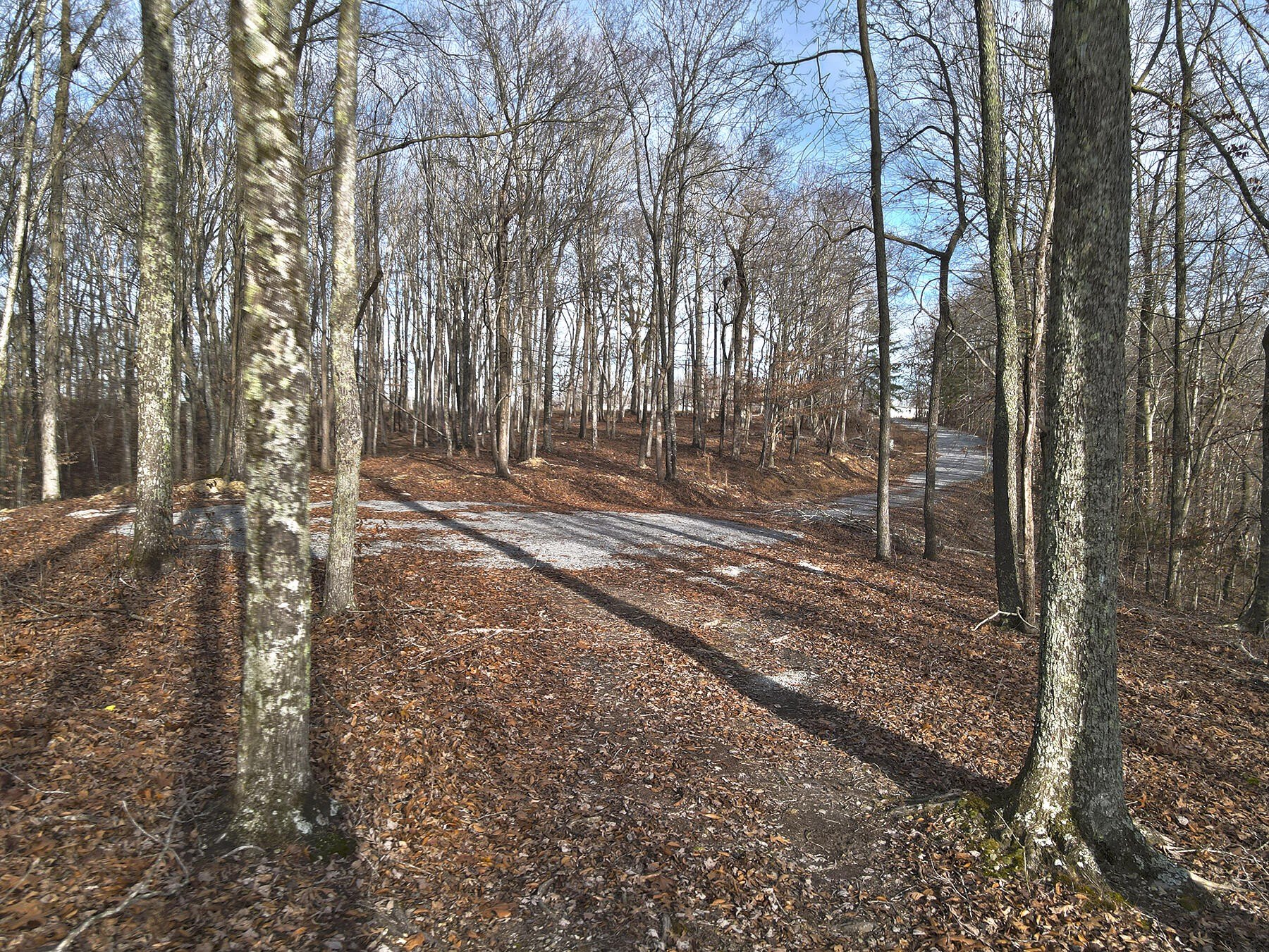 Residential Lot in Lake Ridge