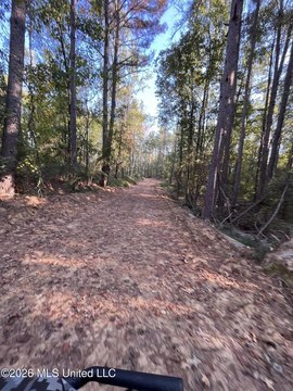 Land, Como, MS