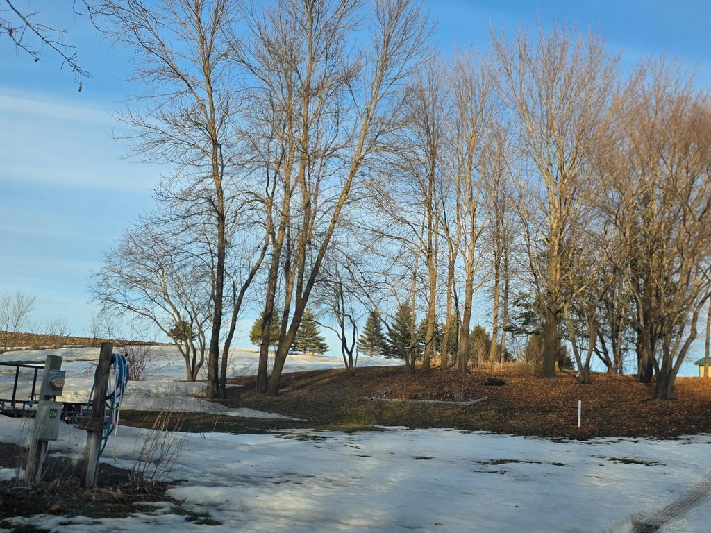Picture 19