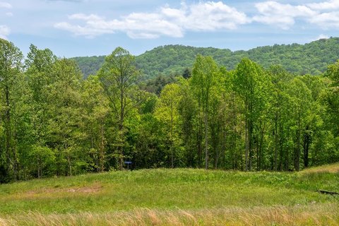 Creek-Front Pasture Land Lot