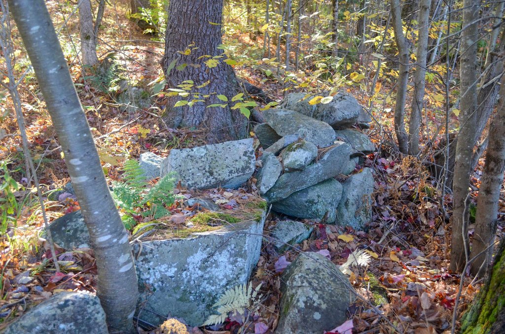 Picture 4