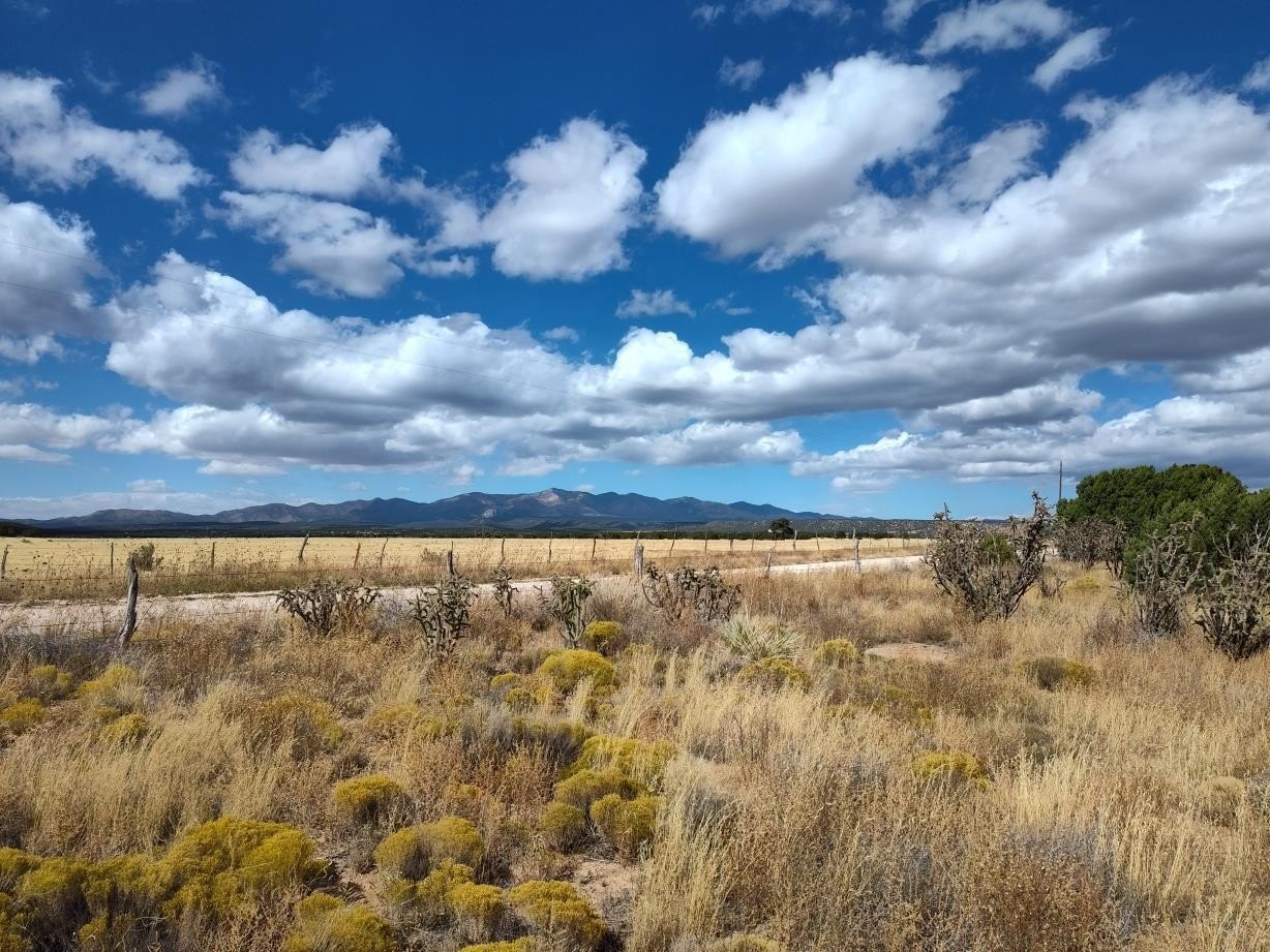 Land with Mountain Views