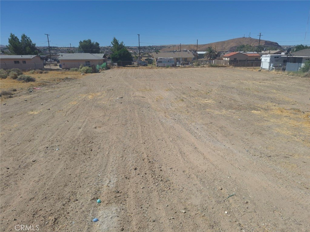 Picture 11