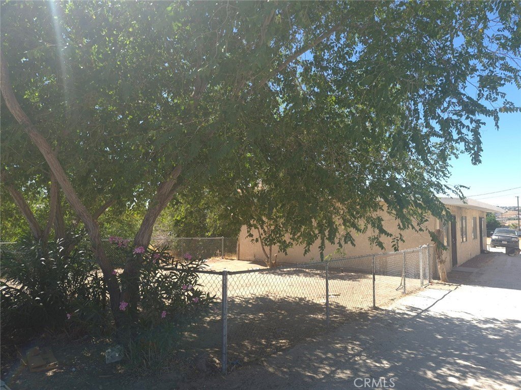 Picture 4