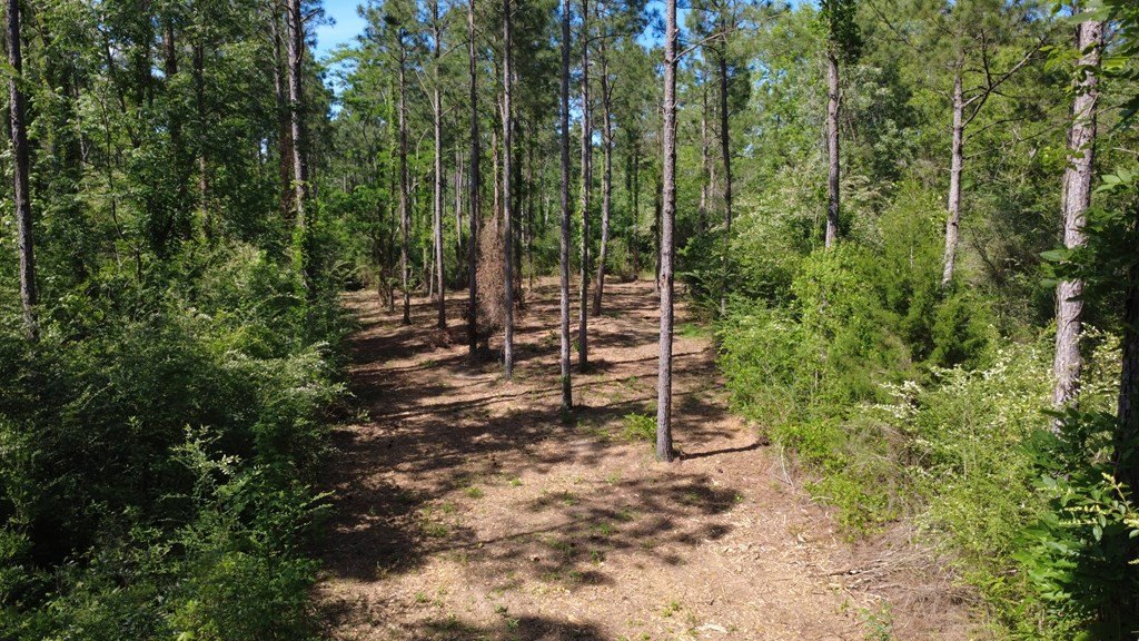 Picture 6