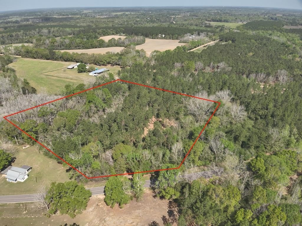 Unrestricted Land Near Slocomb, AL