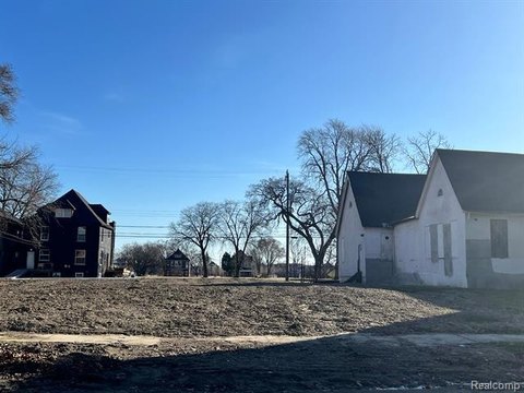 Detroit Land for Infill Development
