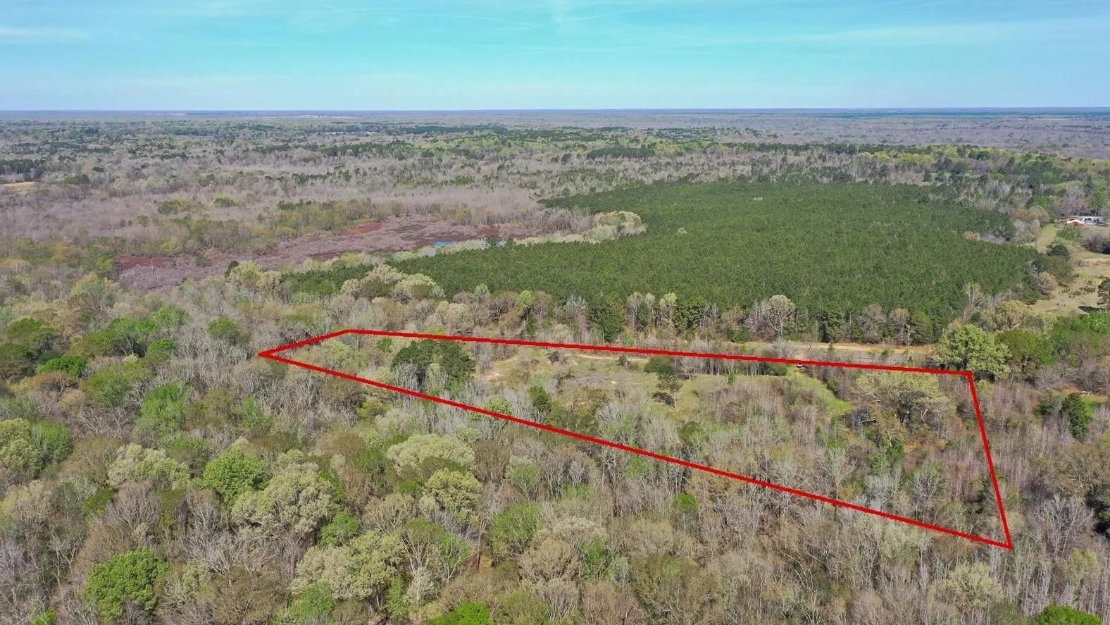 5.23 Acres in Naples, TX