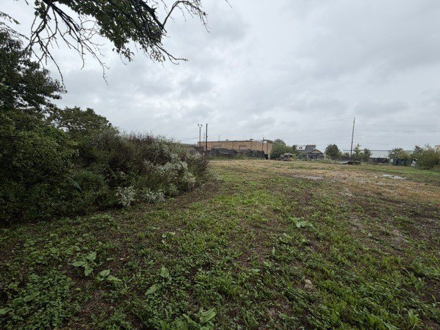 Picture 30