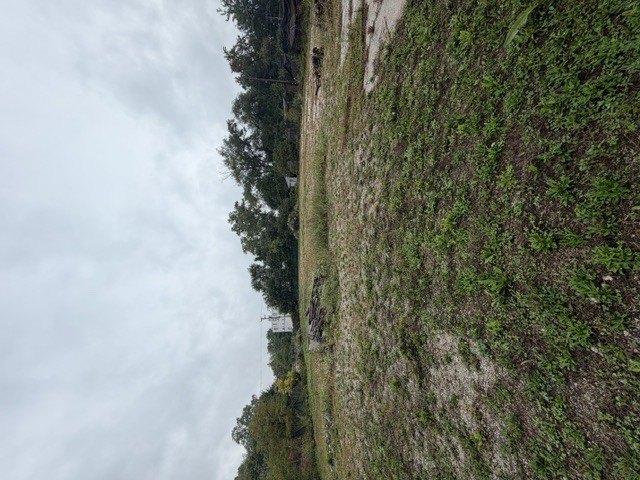 Picture 29