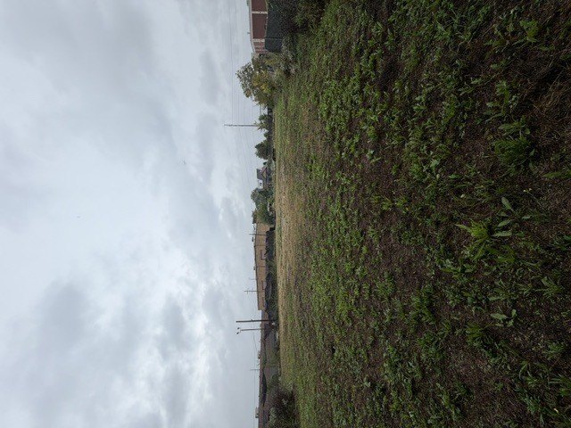 Picture 28