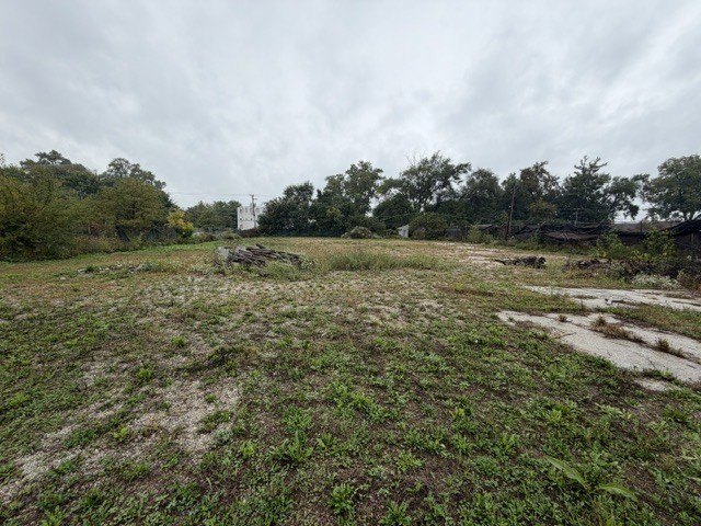Picture 18