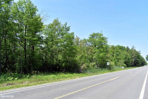 VACANT LAND, Port Austin, MI