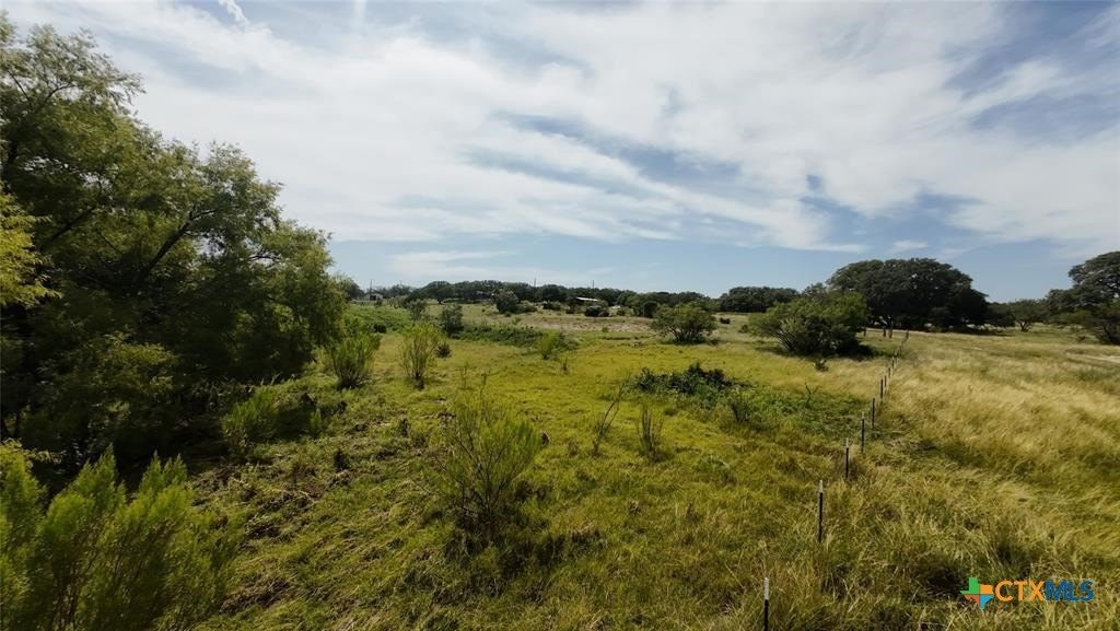 Picture 25