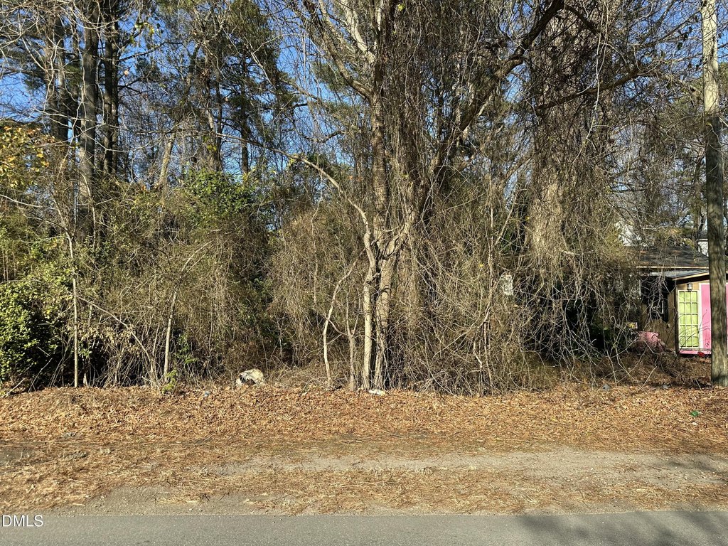 Picture 3