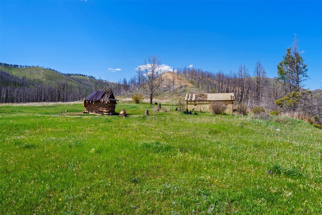 Picture 8
