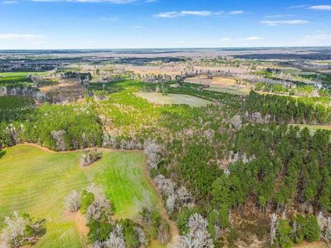 86.5 Acres Hunting Land
