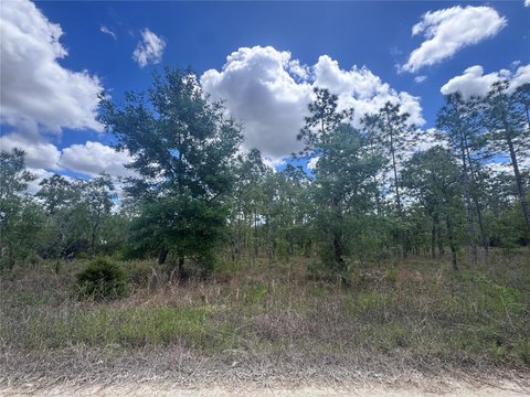 Williston Highlands Building Lot