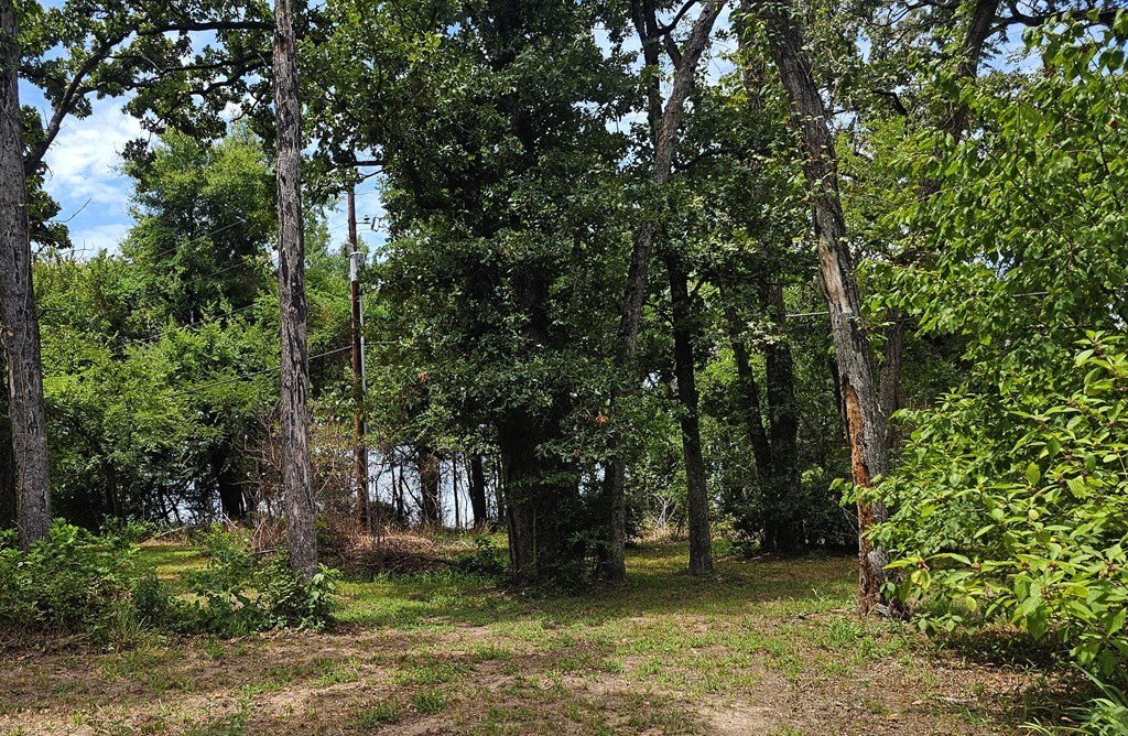 Picture 6