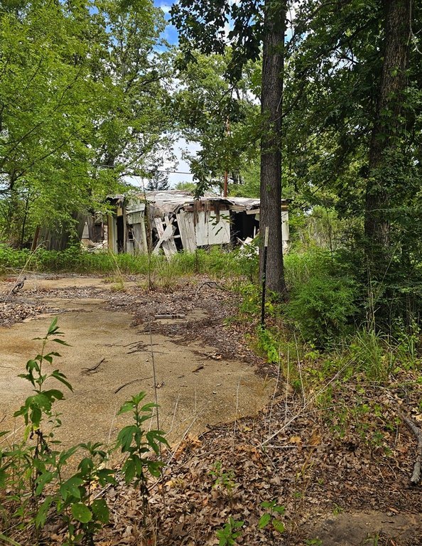 Picture 2