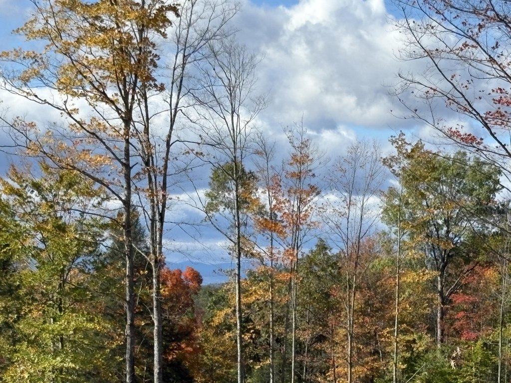 Picture 7