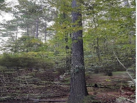 Texarkana Hunting Land For Sale