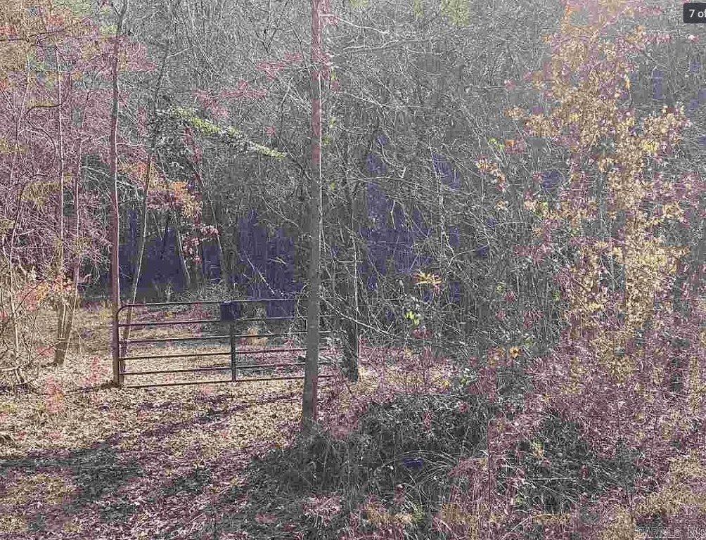 Picture 12